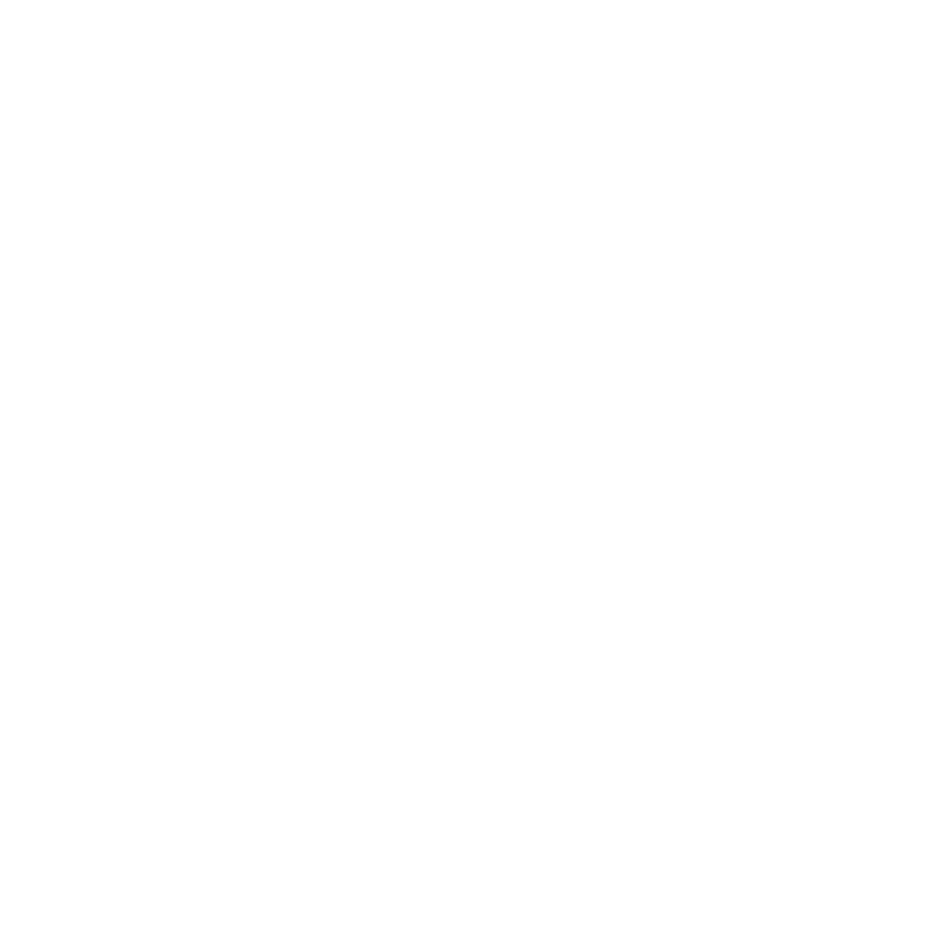 Novus Logo