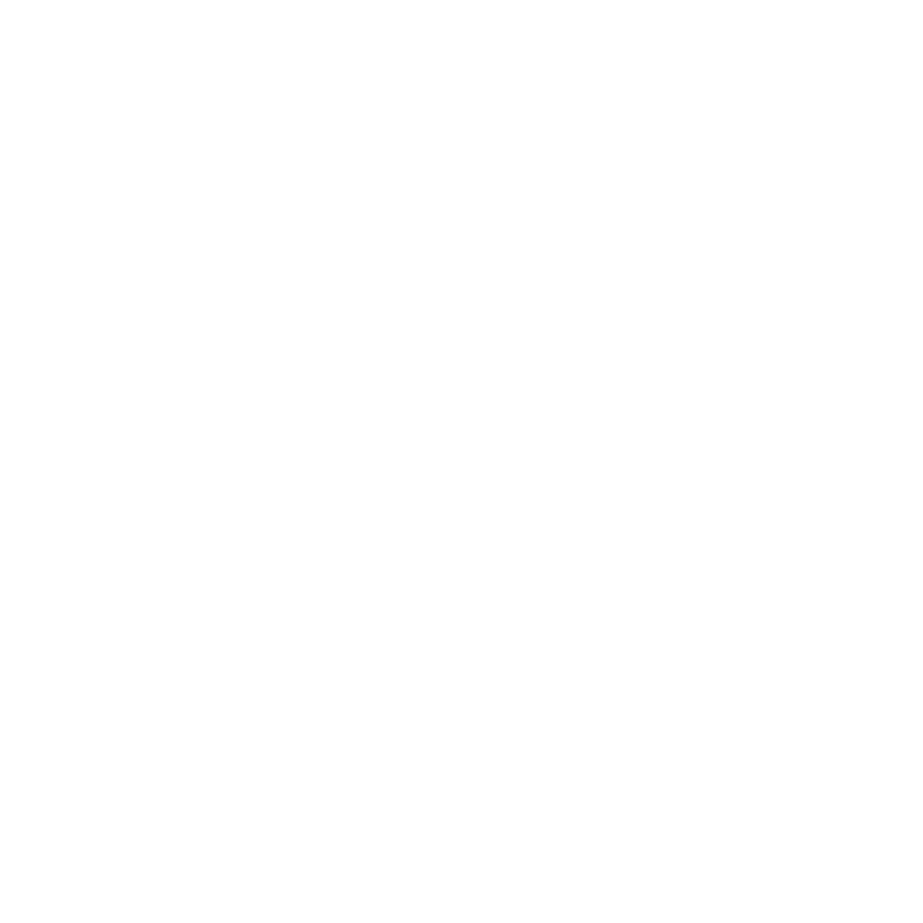 Cleanfix Logo